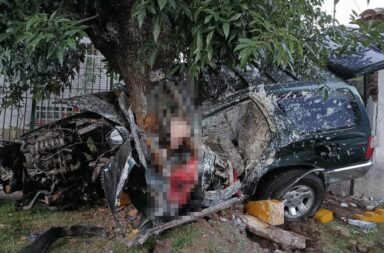 Quilmes. Delicnuentes robaron un auto y murieron contra un árbol