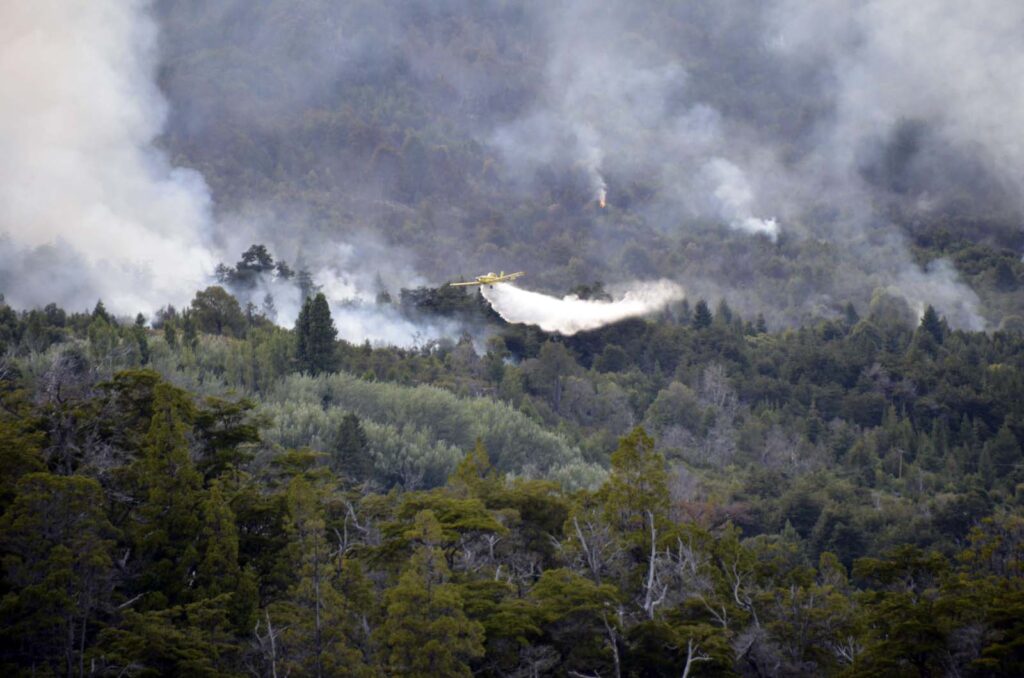 El fuego en el Parque Los Alerces no baja su intensidad y ya afectó a más de 3.000 hectáreas