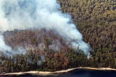 El incendio forestal Parque Nacional Nahuel Huapi sigue activo 