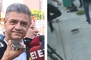 Jorge Macri daba una conferencia de prensa, apareció una rata, y se la comieron dos perros