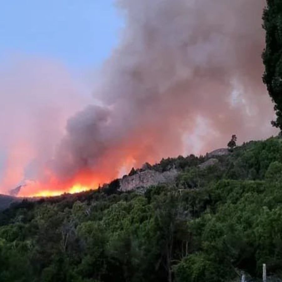 Continúa activo el incendio en el Parque Nacional Los Alerces y la jornada ventosa no ayuda