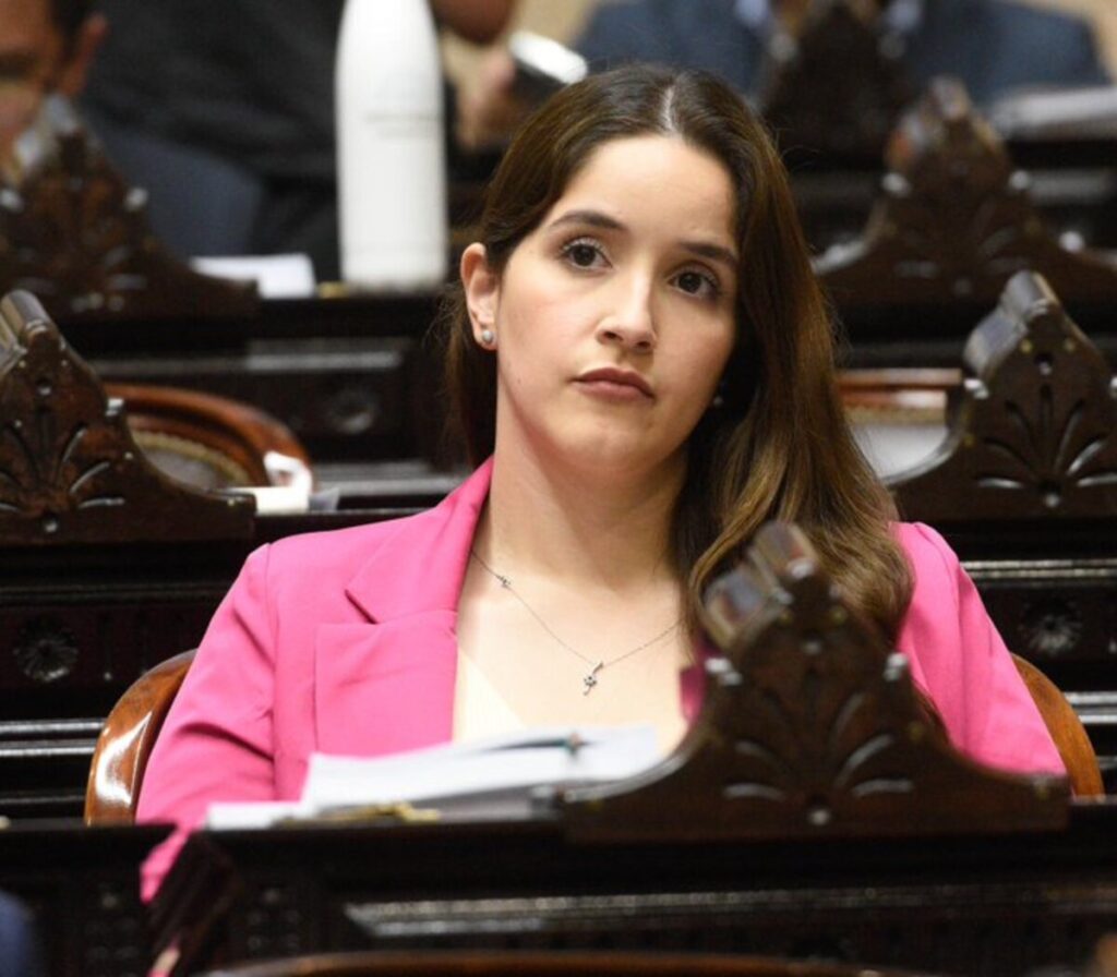 La Casa Rosada se desligó del proyecto para derogar el aborto legal: “No es parte de la agenda del Presidente”