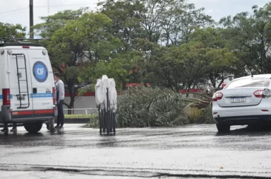 Un conductor alcoholizado embistió a diez personas en Salta: hay tres muertos y dos heridos