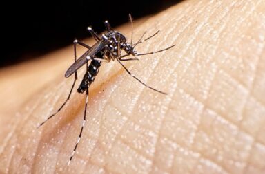 El dengue sigue sumando víctimas fatales